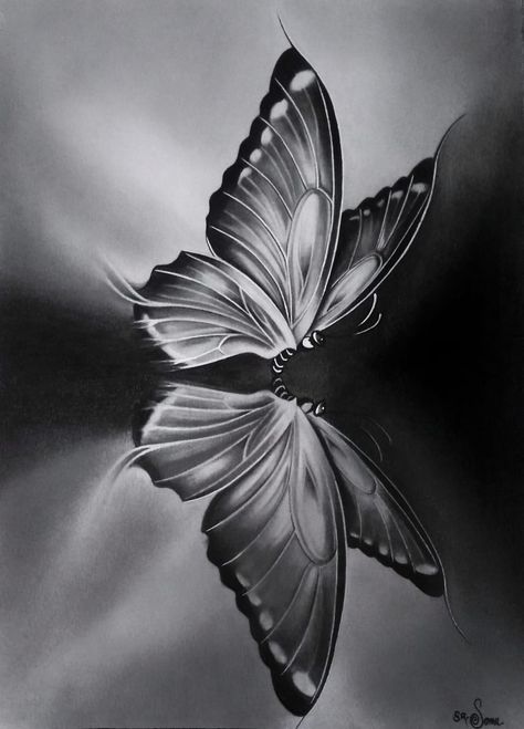 pencil artwork #butterfly #art #nature #reflection White Photo, Black And White, White, Black