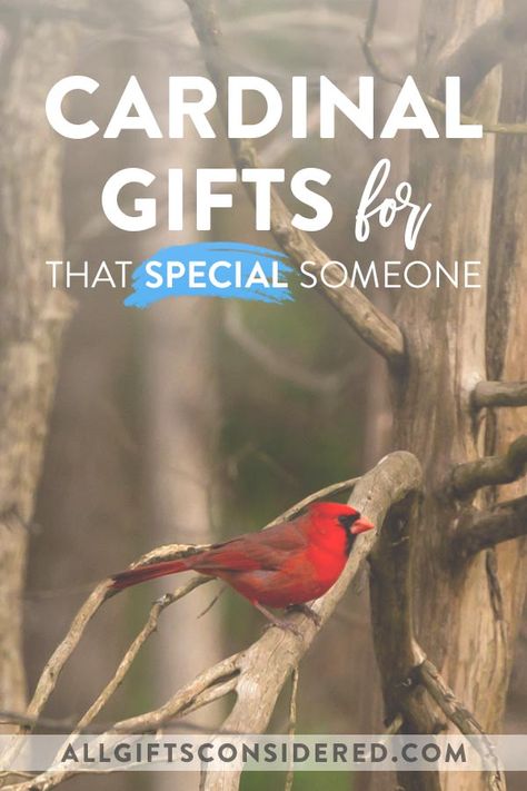 Cardinal Gift Ideas, Cardinal Memorial Gifts, Cardinal Symbolism, Cardinal Gifts, Cute Hairstyles With Curls, Pets Wallpaper, Memory Of A Loved One, Fun Gift Ideas, Sympathy Quotes