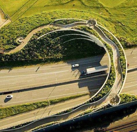 Villa Architecture, Architecture Cool, Vancouver Washington, Landscape Architecture Design, Green Architecture, Pedestrian Bridge, Rain Water Collection, Bridge Design, Futurism