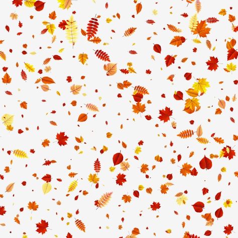 leaves,autumn,falling,background,fall,transparent,red,foliage,leaf Falling Background, Background Leaves, Background Fall, Autumn Leaves Background, Leaf Vector, Leaves Falling, Fall White, Event Template, Wooden Pattern