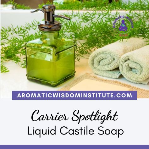 The Ultimate Guide to Liquid Castile Soap: Uses, Benefits, and DIY Tips | Aromatic Wisdom Institute | Essential Oil Education | Aromatherapy Certification | Liz Fulcher Castile Soap Uses, Diy Foaming Hand Soap, Diy Hand Soap, Castille Soap, Essential Oil Education, Liquid Castile Soap, Natural Body Wash, Diy Body Scrub, Citrus Essential Oil