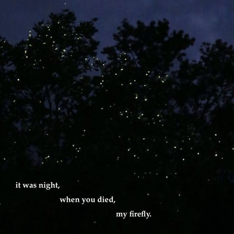 Sufjan Stevens Lyrics Aesthetic, Sufjan Stevens Quotes, Fourth Of July Song Aesthetic, Fourth Of July Sufjan Stevens Aesthetic, Sufjan Stevens Wallpaper, Fourth Of July Lyrics, Sufjan Stevens Fourth Of July, Fourth Of July Song, Sufjan Stevens Poster