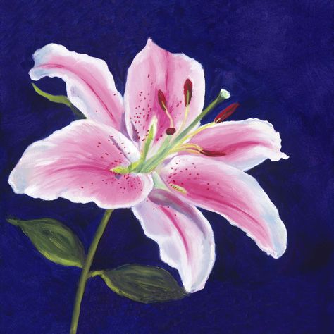 Lilies Drawing, Watercolor Tattoo Flower, Lilly Flower, Lily Painting, Stargazer Lily, Pastel Pencils, Painting Gallery, Flash Art, Flower Art Painting