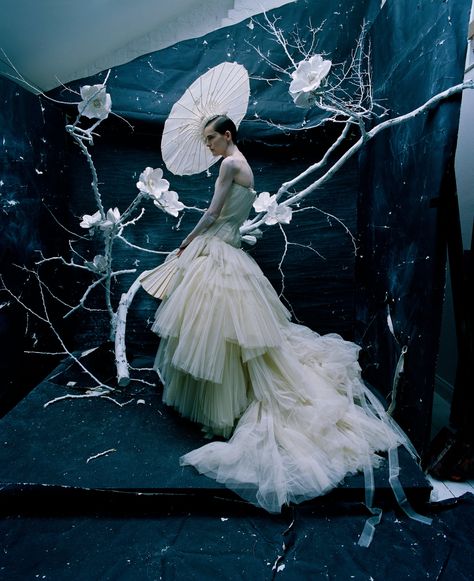 Tim Walker: ‘There’s an extremity to my interest in beauty’ | Global | The Guardian Fashion Photography Editorial Vogue, Tim Walker Photography, Editorial Vogue, Stella Tennant, Mode Editorials, Robert Mapplethorpe, High Fashion Photography, Photography Editorial, Tim Walker