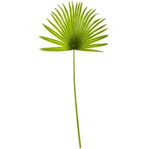 Indoor 33 in. Fan Palm Artificial Spray Plant (6-Set) Beautiful Bathroom Decor, Beautiful Bathroom Designs, Fake Plants Decor, Artificial Plants And Trees, Fan Palm, Palm Plant, Dining And Living Room, Faux Tree, Silk Plants