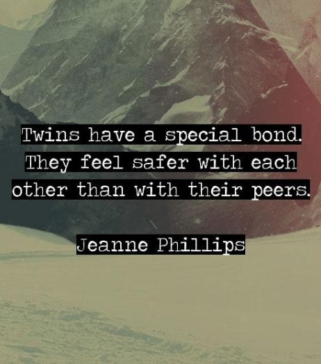 60+ Best Funny And Cute Twin Quotes With Images Twin Brother Quotes, Twinless Twin, Twin Quotes Funny, Twin Brother And Sister, Twin Angels, Twin Vibes, Brother Poems, Twin Things, Brother N Sister Quotes