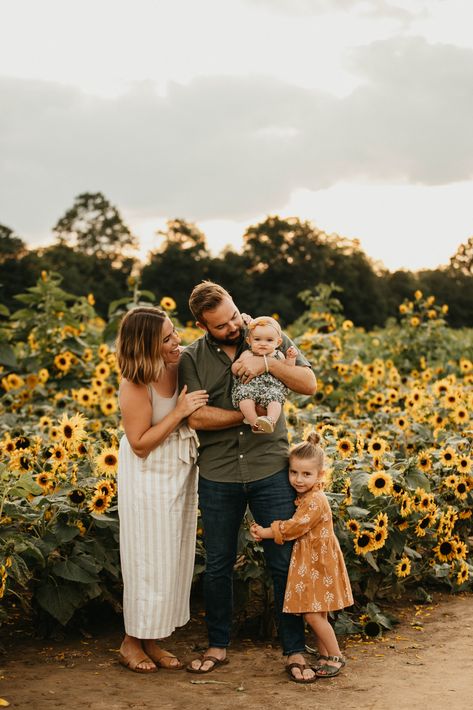 Sunflower Field Family Photoshoot Outfits, Sunflower Farm Photoshoot Family, Family Photos With Sunflowers, Sunflower Family Photo Shoot, Sunflower Family Photoshoot Outfits, Sunflowers Family Photoshoot, Family Sunflower Photos, Outfits For Sunflower Field Pictures Family, Sunflower Minis Photography