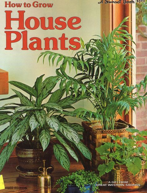 Reinterpreted 70’s house plants | Sun and Glory Boho Style Living, Grow House, 70s House, Vintage Gardening, Plant Book, 70s Decor, Gardening Books, Floral Prints Pattern, Interior Garden