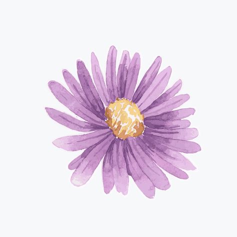 Watercolor purple daisy vector hand drawn sticker element | premium image by rawpixel.com / Niwat Asters Flower Drawing, Aster Flower Illustration, Purple Daisy Tattoo, Aster Flower Aesthetic, Purple Flowers Drawing, Aster Aesthetic, Aster Flower Drawing, Purple Flower Drawing, Purple Drawings