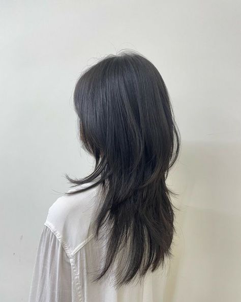 Korean Hime Haircut, Slide Layer Haircut, Lazy Haircuts, Hush Cut Straight Hair, Hush Haircut With Bangs, Heavy Layered Hair, Korean Wolf Cut Long Hair, Hush Cut With Bangs, Korean Hush Cut