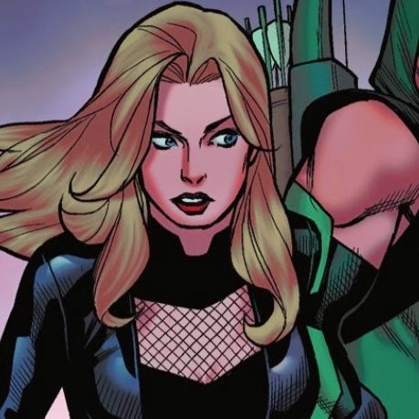 Dinah Lance Icons, Black Canary Icon, Black Canary Aesthetic, Black Canary Comic, Black Canary Dc, Lance Cosplay, Dc Heroines, Marvel Visuals, Dc Female Characters