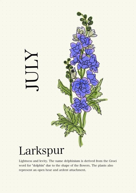 July Flower Birth Month, July Month Flower, Larkspur Flower Drawing, Larkspur Drawing, Best Feminine Tattoos, Larkspur Flowers, Blue Larkspur, Birth Animal, Flower Vine Tattoos