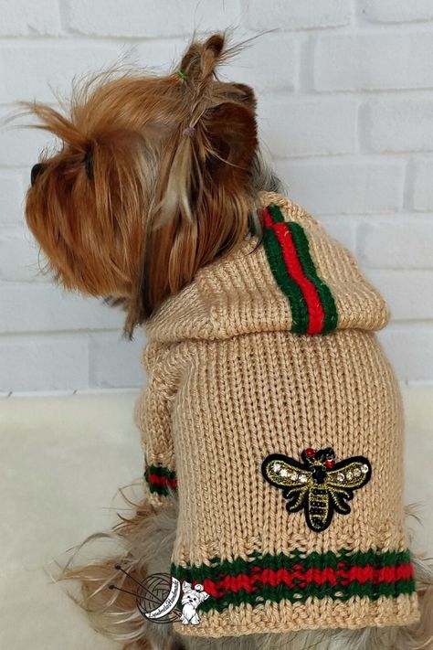 Pet Sweater Costume for small dog by LyudmilaHandmade.  Dog coat clothes, puppy yorkie dress clothes. you're going to love these Knitted Dog Sweater and we've rounded up some of the cutest on the block. heck them out now and Pin your favorites Puppy Clothes Girl, Knitted Dog Sweater, Small Dog Dresses, Knitted Dog, Pet Sweaters, Knit Dog Sweater, Dog Winter Coat, Clothes Girl, Pet Sweater