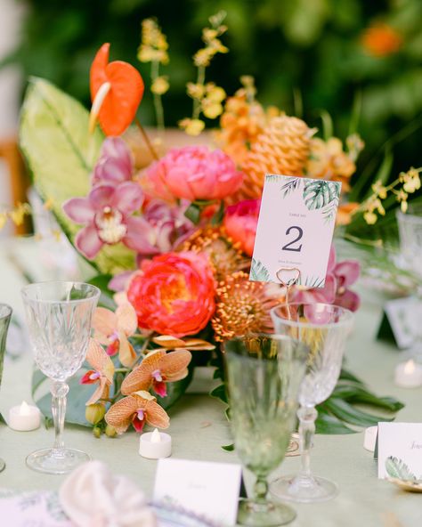 Bold colors? Yes, please! 💃🌈 There’s nothing like a wedding bursting with vibrant hues to bring the celebration to life! And in a tropical paradise like Miami, the brighter, the better! From tropical florals to eye-catching decor, color-filled weddings make every shot pop with personality. So if you’re dreaming of a day that’s just as lively as your love, Miami’s sunshine is the perfect canvas. Let’s bring that tropical magic to your big day! 🌴🌺 #MiamiWeddings #ColorfulWeddings #TropicalLove ... Tropical Chic Wedding, Tropical Florals, Tropical Sunset, Palm Springs Wedding, Sunset Wedding, Tropical Party, Miami Wedding, Tropical Paradise, Chic Wedding