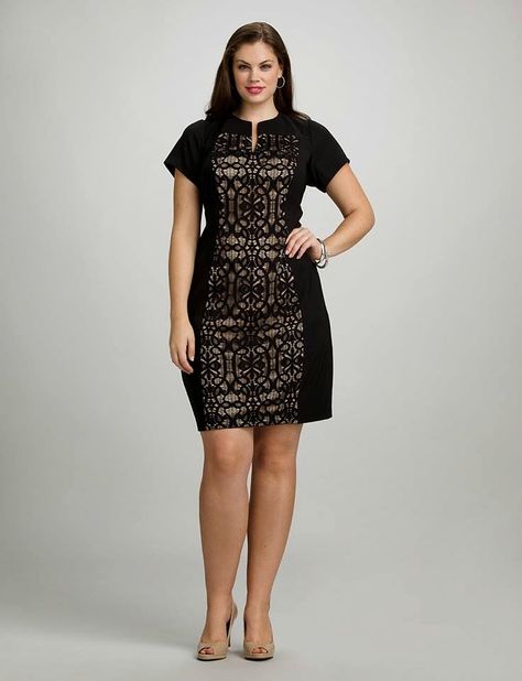 at dress barn  // lace panel dress in black Dress For Chubby Ladies, Dress For Chubby, Lace Panel Dress, Elegante Casual, Moda Plus, Curvy Girl Fashion, Looks Style, Club Dresses, Plus Size Dress