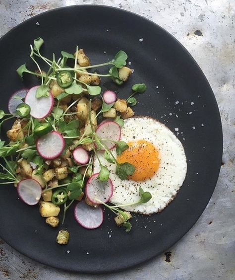 Shape + dimension Radish Microgreens, Microgreens Recipe, Drink Making, Serrano Peppers, Daikon Radish, Fresh Egg, Athena Calderone, Potato Hash, Farm Eggs