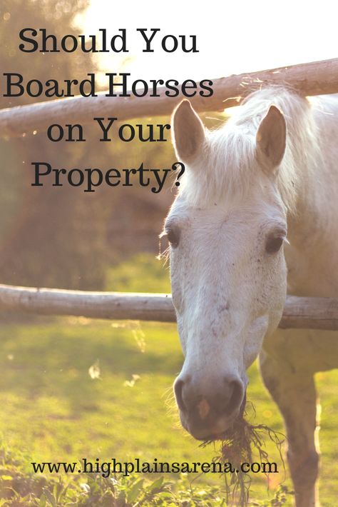 Horse Farm Ideas Stables, Horse Boarding Ideas, Horse Boarding Business, Homestead Land, Horse Braids, Horse Lifestyle, Equine Facility, Stable Management, Horse Business