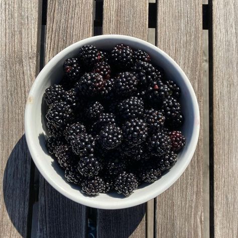 Blackberry Fruit Aesthetic, Blackberry Girl Aesthetic, Blackberries Aesthetic, Amora Aesthetic, Blackberry Aesthetic, Black Wonyoungism, Food Polls, Coconut Sorbet, Food Texture