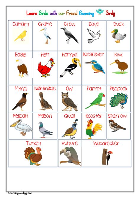 Charts - LearningProdigy Birds Chart, Prewriting Activities Preschool, Birds Name, Gel Powder Nails, Animals And Their Homes, Body Chart, Shape Chart, Pre Writing Activities, Preschool Colors