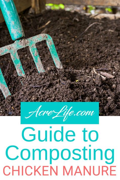 This is a great introduction to composting chicken manure for the beginning composter. #AcreLife #chickens #backyardchickens #compost #composting #manure Composting Manure, Chicken Compost, Chicken Manure Compost, Chicken Composting, Composting Ideas, Helping Nature, Manure Composting, How To Compost, Chicken Manure