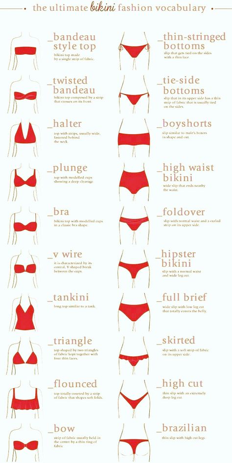 The Ultimate Bikni Fashion Vocabulary Different Type Of Bikinis, Ultimate Fashion Vocabulary, Bi̇ki̇ni̇ Types, The Ultimate Fashion Vocabulary, All Types Of Panty, Clothes Types Fashion Vocabulary, Best Bikinis For Different Body Types, Fashion Vocabulary Words, Types Of Under Wear For Women