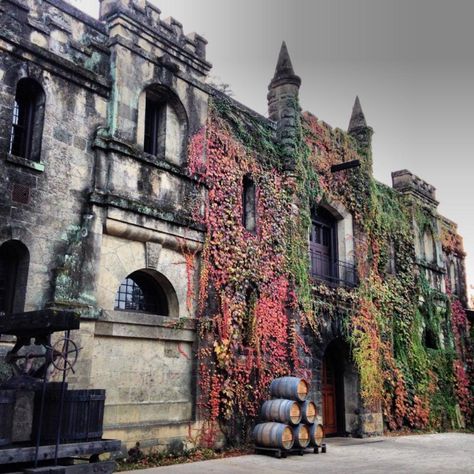 The beautiful Chateau Montelena in fall colors! Outside View, Tasting Room, Office Building, Wine Country, Fall Colors, California, House Design, Wine, Road