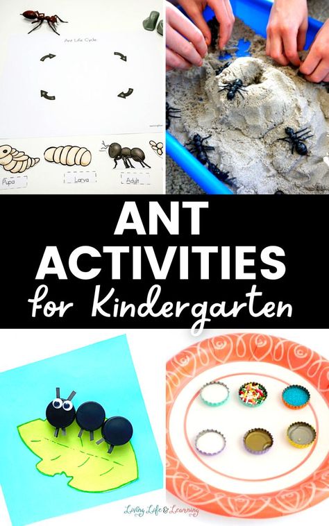 Ants Activities For Preschool, Ant Hill Craft, Ants Craft, Ant Activities, Ant Lesson, Ant Craft, Ant Life Cycle, Ants Activities, Ant Crafts