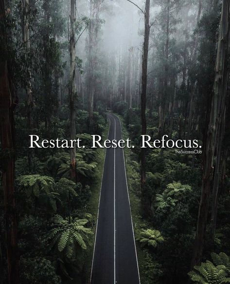 Positive & Motivating Quotes (@the.success.club) posted on Instagram • May 6, 2021 at 3:03pm UTC Refocus Quotes, Reset Restart Refocus, The Success Club, Teamwork Quotes, Motivating Quotes, Positive Habits, Anaconda, Fun Fact, Business Motivation