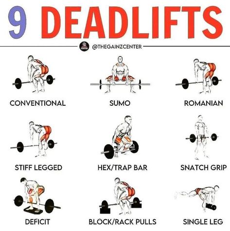 Rdl Workout, Powerlifting Exercises, Dead Lift Workout, Powerlifting Workouts, Dead Lift, Leg Workouts Gym, Workout Programs For Women, Bodybuilding Workouts Routines, Leg Workouts