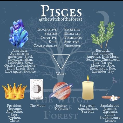 Pisces Season, Moon Sea, All About Pisces, Zodiac Pisces, Aquarius Season, Lapis Lazuli Blue, Astrology Pisces, New Moon Rituals, Irish Moss