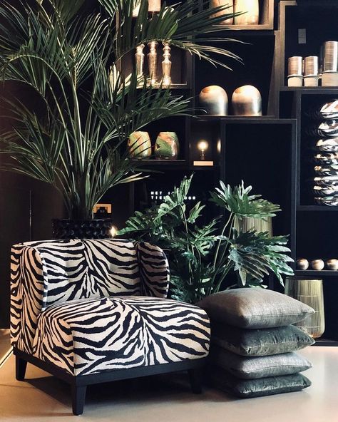 Bowral House, Mystical Room, Sustainable Store, Zebra Chair, African Interior, African Home Decor, African Decor, Dark Interiors, Nurseries