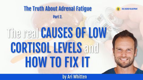 Low Cortisol Levels, Low Cortisol, Cortisol Diet, How To Lower Cortisol, Adrenal Exhaustion, Lower Cortisol, Lower Cortisol Levels, Pain Relief Remedies, High Cortisol