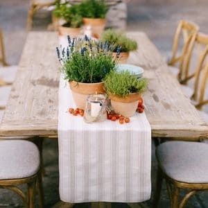 Potted Herbs Centerpiece, Herbs As Centerpieces, Flower Pot Centerpieces Wedding, Farm To Table Centerpieces, Potted Herb Centerpieces, Cottagecore Table Centerpieces, Flower Pot Table Centerpieces, Potted Plants Wedding Centerpiece, Herb Themed Wedding