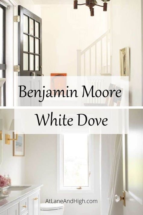 All whites are not created equal! There are just as many different shades of white as shades of gray. Today we will do a deep dive in Benjamin Moore White Dove and learn everything there is to know about this beautiful creamy white paint color. White Dove Benjamin Moore Walls, Bm White Dove, Dove Wing Benjamin Moore, Creamy White Paint, White Dove Benjamin Moore, White Paint Color, Family Room Paint, Black Paint Color, Western Rooms