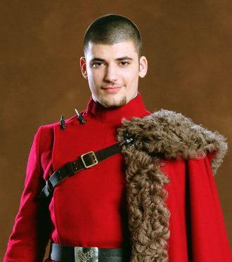 Victor Krum, Stanislav Ianevski, Durmstrang Institute, Viktor Krum, Imprimibles Harry Potter, Harry Potter Wiki, Potter Aesthetic, Harry Potter Icons, Yule Ball