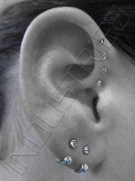 quad forward helix...LOVE the earrings too!! Piercings Corps, Ear Peircings, Horseshoe Earrings, Forward Helix Piercing, Cool Piercings, Forward Helix, Cute Piercings, Body Piercings, Helix Piercing