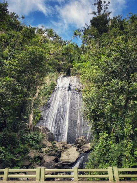 Looking to explore El Yunque Rainforest while you're in Puerto Rico? Here you will find El Yunque waterfalls, El Yunque hiking, El Yunque Puerto Rico, El Yunque rain forest, what to wear in El Yunque, things to do in El Yunque #elyunque #puertorico El Yunque Puerto Rico, El Yunque Rainforest, El Yunque National Forest, Puerto Rico Trip, Puerto Rico Vacation, Puerto Rico Art, Explore Mexico, Summer Vacation Spots, Mexico Resorts