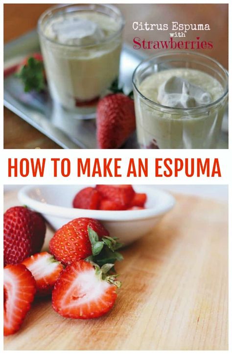 Citrus Espuma Foam on Fresh Strawberries #espuma #Foamrecipe Foam Recipe, Molecular Gastronomy Recipes, Family Supper, Chilled Desserts, Favorite Dessert Recipes, Molecular Gastronomy, Favorite Dessert, Quick Healthy Meals, Family Dinner Recipes