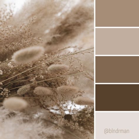 Mocha Colour Palette, Cinematic Pallet, Light Brown Color Palette, Taupe Color Schemes, Brown Paint Colors, Paint Color Combos, Bedroom Color Combination, Taupe Colour, Brown Color Palette