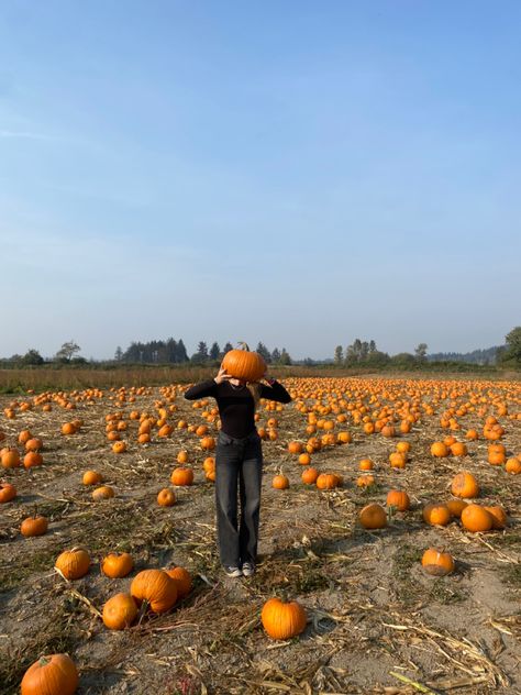 Pumpkin Patch Ig Pictures, Pumping Patch Pictures, Pumpkin Patch Aesthetic Photoshoot, Aesthetic Pumpkin Patch Pictures, Pumpkin Patch Aesthetic Pictures, Pumpkin Patch Friends, Fall Photo Inspiration, Pumpkin Picking Pictures, Pumpkin Patch Instagram Pictures