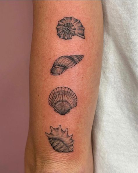 No egrets tattoo studio Clarksville, TN Moon Shell Tattoo, Matching Shell Tattoos, She’ll Tattoo, Sea Shell Tattoos, Sea Shells Tattoo, Scallop Shell Tattoo, Shells Tattoo, Coastal Tattoos, Oyster Tattoo