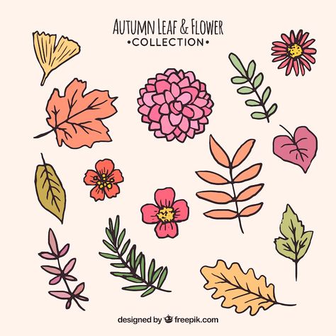 Free Vector | Set of hand drawn autumn leaves and flowers Autumn Flowers Drawing, Autumn Leaves Drawing, Fall Leaves Drawing, Drawn Plants, Brush Pattern, Fall Flower, Autumn Flowers, Leaf Drawing, Plant Drawing