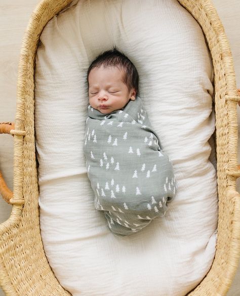 100% cotton and as soft as butter, the best thing about muslin is it gets softer the more it is washed. Modern and gender neutral, this super soft pine trees muslin baby swaddle blanket is perfect for swaddling, nursing, or on the go.⁠ ⁠ The more you buy, the more you save. Right now, save up to 20% off 3 or more select bedding items. Newborn Swaddle Blanket, Baby Muslin Swaddle, French Baby, Soft Baby Blankets, Newborn Swaddle, Muslin Swaddle Blanket, Muslin Blankets, Muslin Swaddle, Baby Co