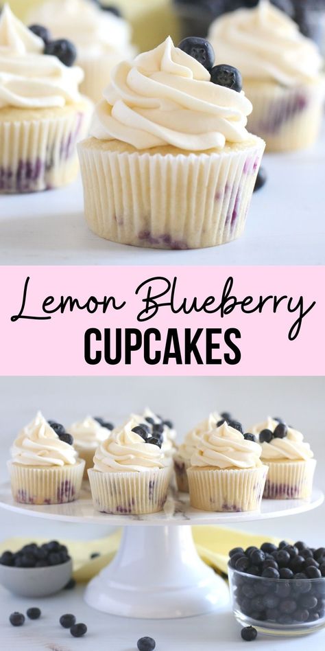 Lemon blueberry cupcakes made from scratch are perfect for spring and summer. This easy cupcake recipe is made with fresh lemons and blueberries and frosted with lemon cream cheese buttercream frosting. Lemon Cupcakes Blueberry Frosting, Sugared Blueberries On Cupcakes, Lemon Blueberry Filled Cupcakes, Flavored Cupcakes Recipes, Cool Cupcakes Ideas, Lemon Cupcakes Cream Cheese Frosting, Cupcake Recipes Wedding, Lemon Blueberry Cupcake Recipe, Lemon Blueberry Frosting