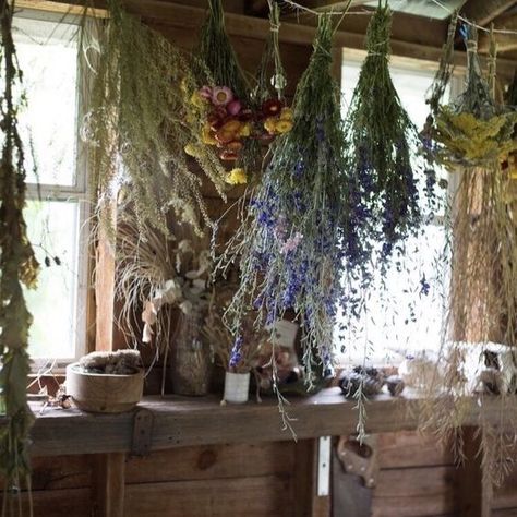 Forest Witch Aesthetic, Witch Cottagecore, Medieval Witch, Herbal Witch, Cottagecore Witch, Nature Witch, Forest Cottage, Cottage Witch, Witch Cottage