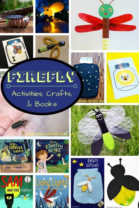 This collection of firefly activities, firefly crafts, and books about fireflies is perfect for learning about fireflies and lightning bugs. Firefly Classroom Theme, Firefly Activities, Firefly Crafts, Lightning Bug Crafts, Firefly Theme, Firefly Craft, Summer Preschool Themes, Fireflies Craft, Insect Study