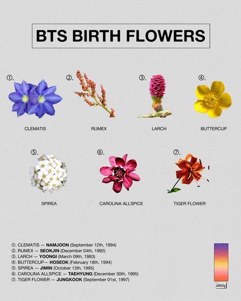 jae on Twitter: "what’s your birth flower?… " Bts Birth Flowers, Tattoo Ideas For Men Back, Purple Island, Tattoo Bts, Tattoo Leggings, Kpop Tattoos, Bts Aesthetics, Bts Tattoos, Birth Flower Tattoos