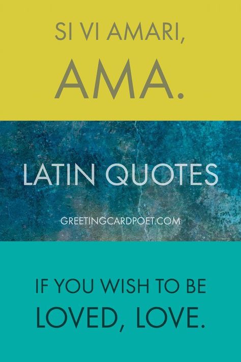 Best Latin Quotes, Sayings and Phrases.  Cool Latin quotations about life, love and beautiful things. Latin quotes are used for everything from tattoos to school mottos. This Latin quote collection includes the phrase first, the English translation and the author (where known). Latin Love Quotes, Best Latin Quotes, Latin Phrase Tattoos, Inspirational Baby Quotes, Latin Quote Tattoos, Latin Mottos, Christian Quotes Scriptures, Tattoo Quotes About Life, Phrase Tattoos