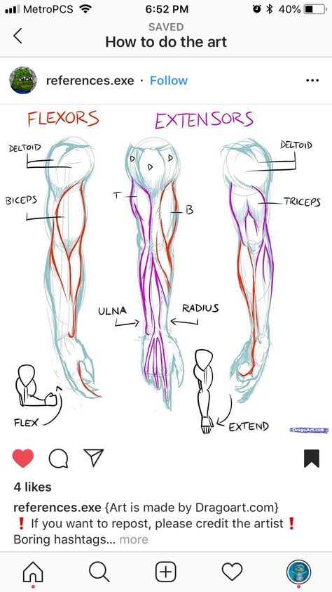 Anatomy Muscles, How To Draw Muscles, Arm Muscle, Arm Drawing, Anatomy Practice, How To Draw Anime, Anatomy Tutorial, Muscle Anatomy, Human Anatomy Art