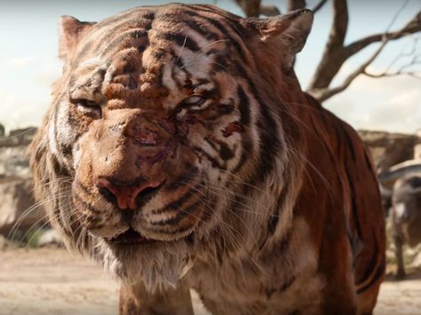 Jungle Book Movie, Ryan Kwanten, Shere Khan, Cat Species, Tiger Skin, The Jungle Book, Joker Is, Idris Elba, Worst Movies